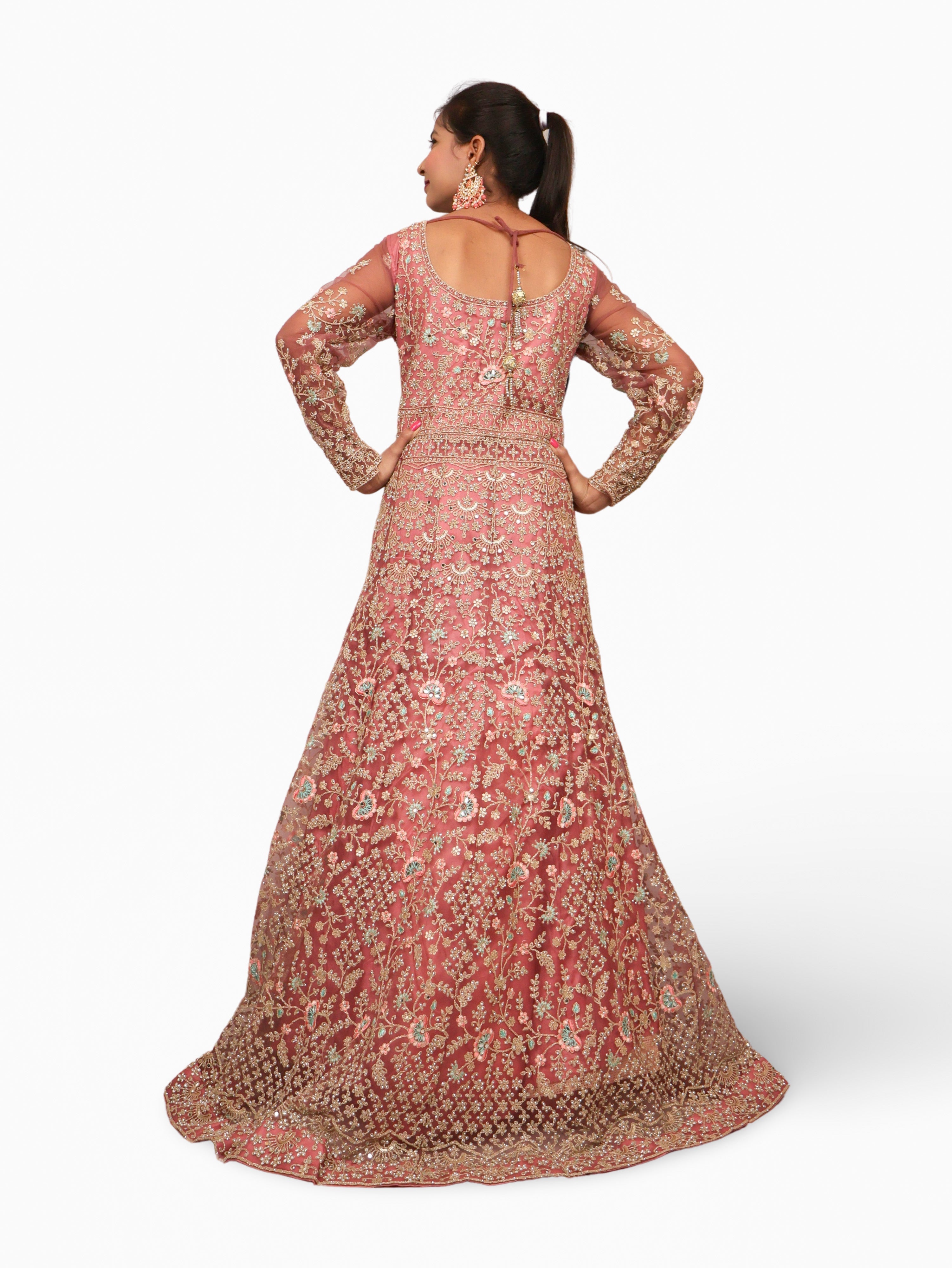 Gown with Stone Work & Embroidery by Shreekama